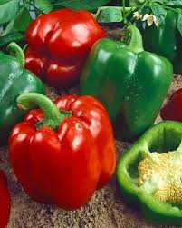 Sweet Pepper Seeds 300mg Yolo Wonder Bell Heirloom Capsicum annuum, Crisp & Sweet, High Yield, Heat Tolerant for Garden & Containers