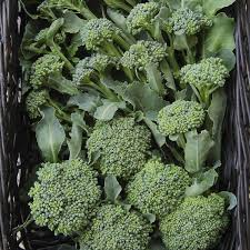 Broccoli Seeds (1g) - Heirloom Waltham 29, Non-GMO, High-Yield, Sweet Flavor - Brassica oleracea var. italica, Garden Vegetable