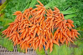 Bulk Carrot Seeds 1250 Count | Organic Non-GMO Daucus carota | Microgreens & Garden Planting