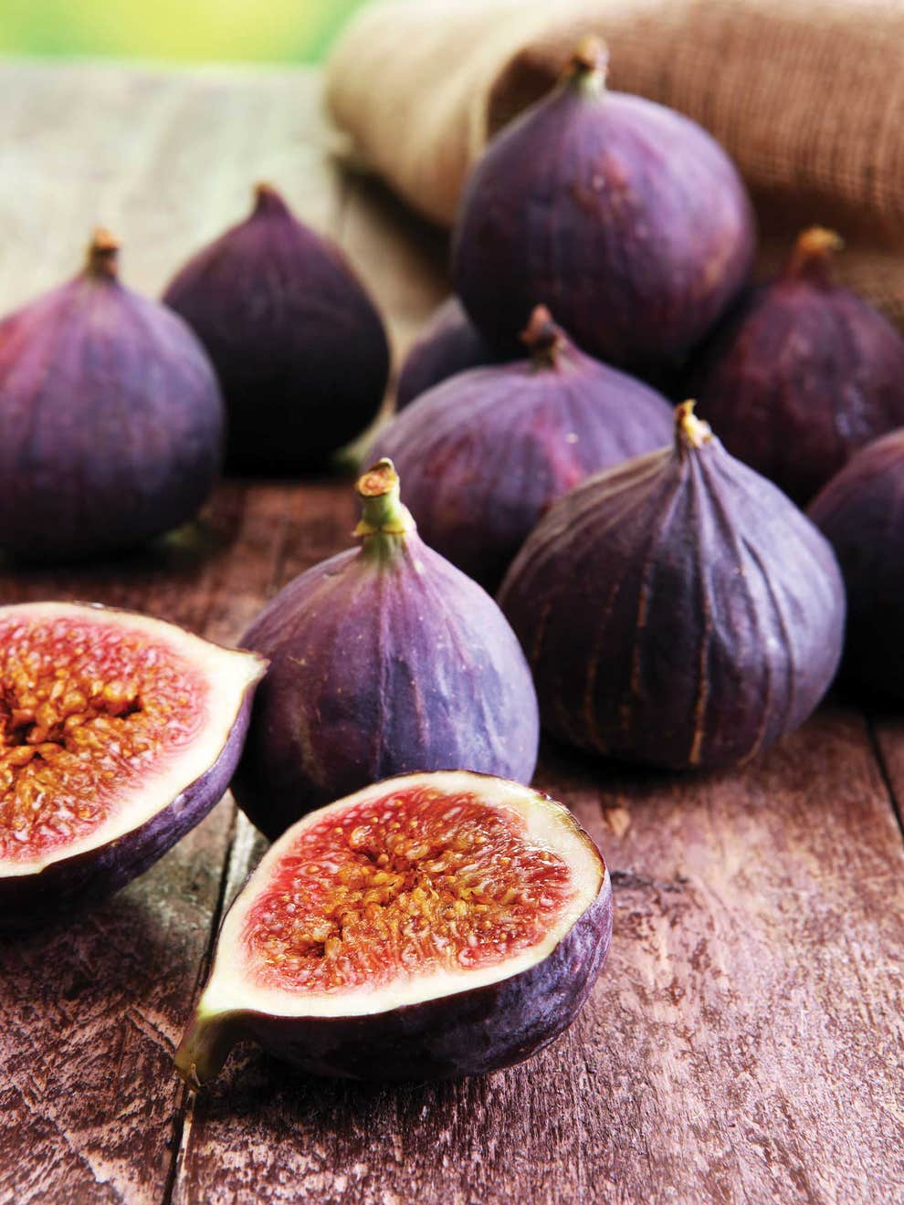 6 Violette de Bordeaux Fig Cuttings for Propagation - Sweet Purple-Black Fruit, Ficus carica ‘Violette de Bordeaux’