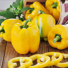 Sunbright Sweet Bell Pepper Seeds - 20 Non-GMO Heirloom Seeds - Yellow Bell Pepper (Capsicum annuum) - Mild & Sweet Flavor