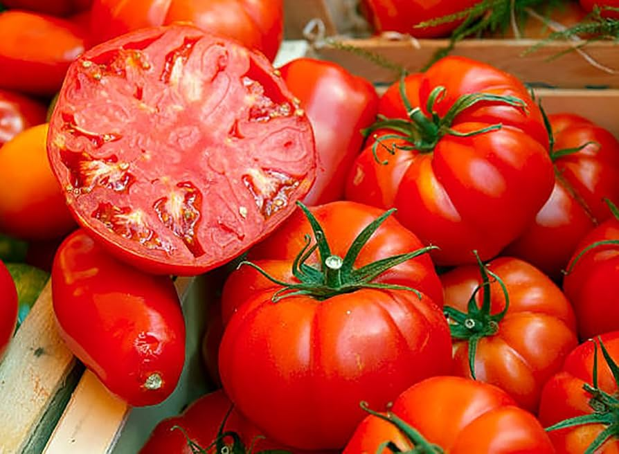 Beefsteak Tomato Seeds 300mg - Heirloom, Large Juicy Fruit, High Yield for Slicing, Solanum lycopersicum, Garden & Containers