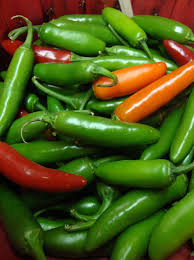 Serrano Pepper Seeds - 25 Heirloom Seeds - Capsicum annuum - Spicy, Flavorful, High-Yielding for Salsas & Sauces