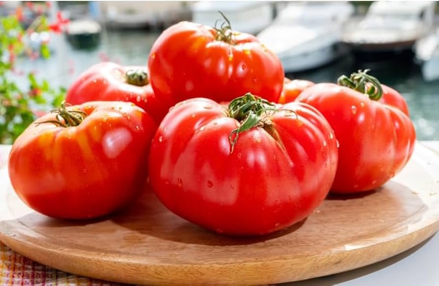 Floradel Tomato Seeds 100 mg - Heirloom Slicing Tomato, Solanum lycopersicum, for Juicy Harvest & Home Gardens