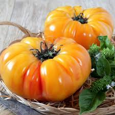 30 Pineapple Tomato Seeds | Heirloom Bicolor Beefsteak | Solanum lycopersicum | Sweet & Juicy Yellow-Red Fruits