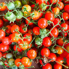 Matt's Wild Cherry Tomato Seeds | 25 Heirloom Seeds | Sweet Flavor, Prolific, Disease-Resistant | Solanum Lycopersicum