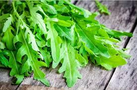 Roquette Arugula Seeds - Heirloom Non-GMO - Eruca Sativa - Fast Growing, Nutty & Peppery Flavor - Ideal for Salads & Stir-Fries