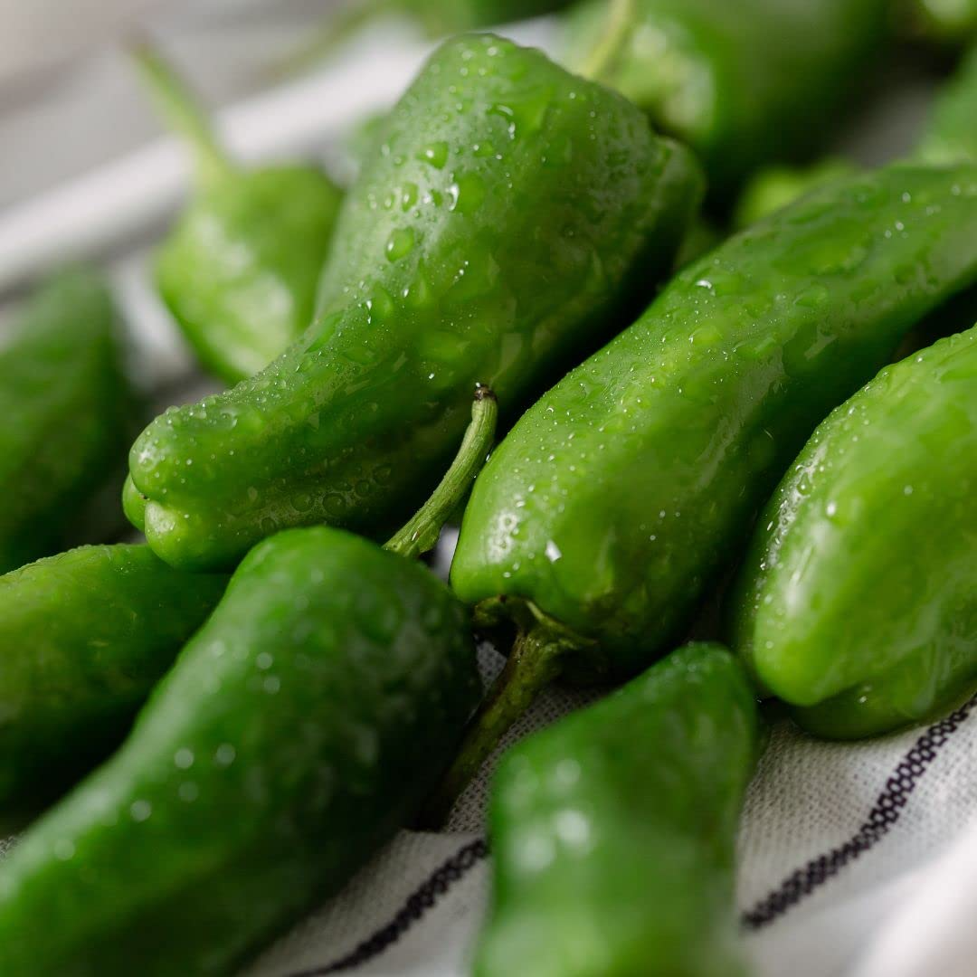 Padron Pepper Seeds - Heirloom Non-GMO - Mild Flavor - Capsicum Annuum - Perfect for Tapas - 85 Days to Maturity