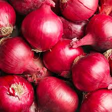 Red Grano Onion Seeds 250 mg - Heirloom Allium cepa for Planting & Flavorful Harvests