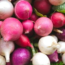 Easter Egg Radish Seeds 200 Count - Colorful Blend Red Pink Purple White Raphanus sativus - Crisp Mild Flavor for Garden
