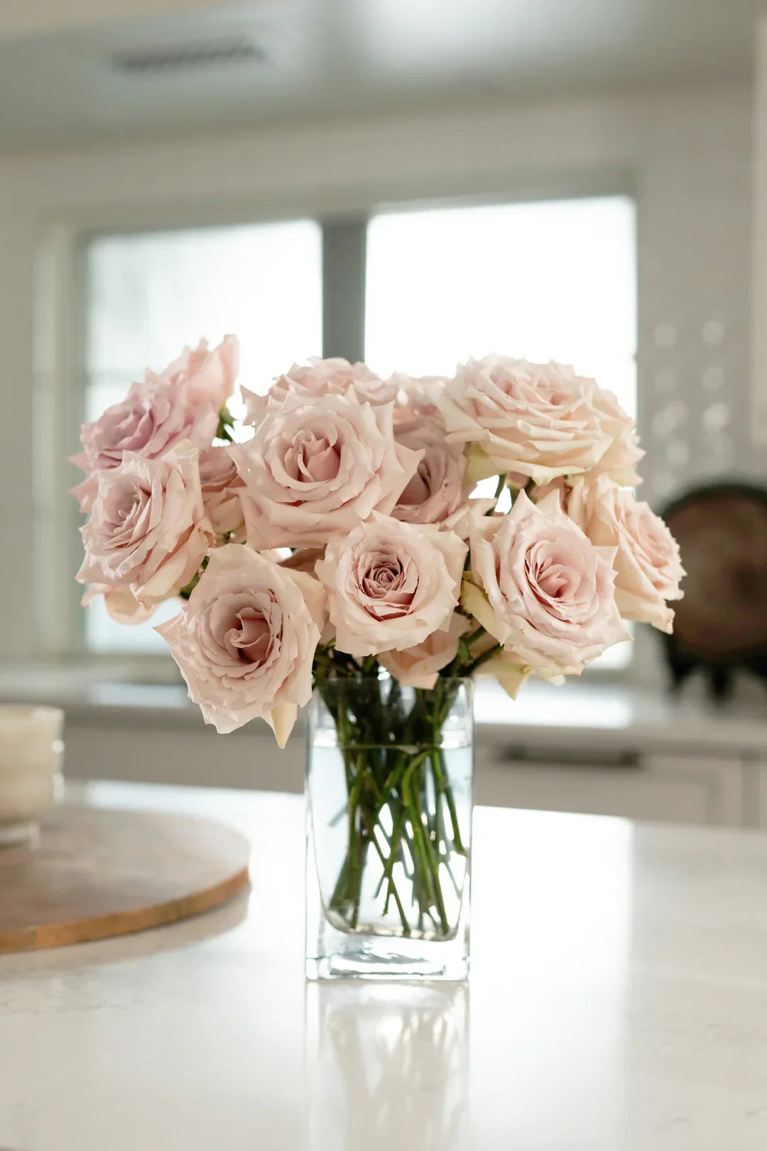 Super Rare Quicksand Rose Cuttings – Unrooted Rosa ‘Quicksand’ Nude Beige Wedding Rose for Grafting & Propagation