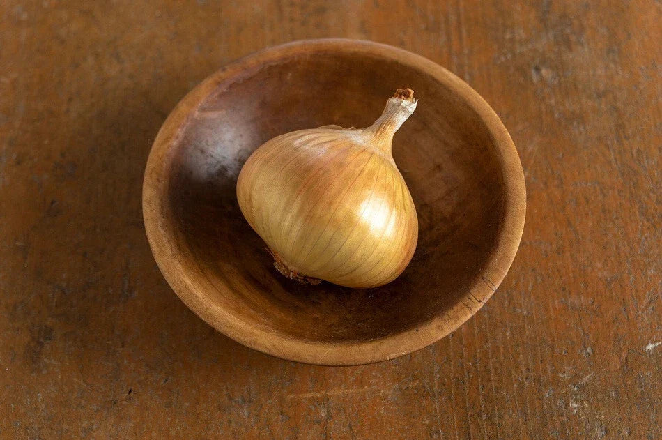 Walla Walla Sweet Onion Seeds - 500+ Non-GMO Allium cepa Garden Seeds for Home Gardening