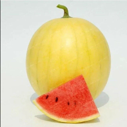 Heirloom Watermelon Seeds - 20PCS Huang Pi Qiu Yellow Skin Red Seedless Citrullus lanatus for Sweet, Juicy, and Easy-Grow Summer Fruit