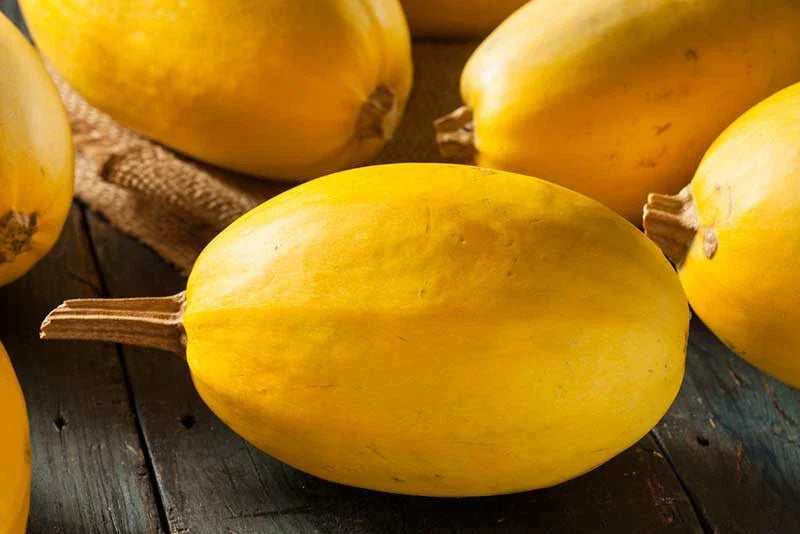 Spaghetti Squash Seeds Pack - 25+ Non-GMO Heirloom Cucurbita pepo for Home Garden, Raised Beds, Bounty Harvest
