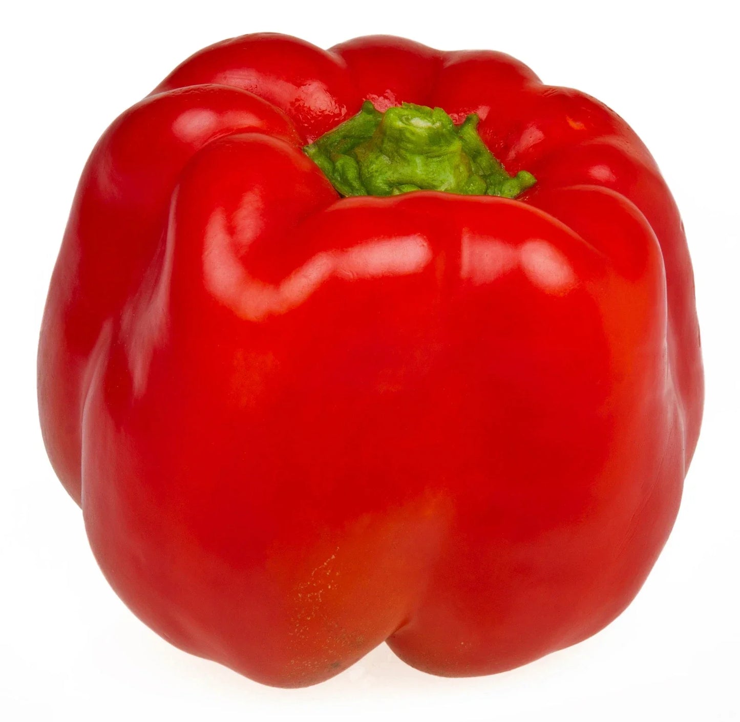 Big Red Sweet Pepper Seeds - Large Blocky Fruits, Very Sweet, Thick Flesh, Capsicum annuum, 20 Seeds