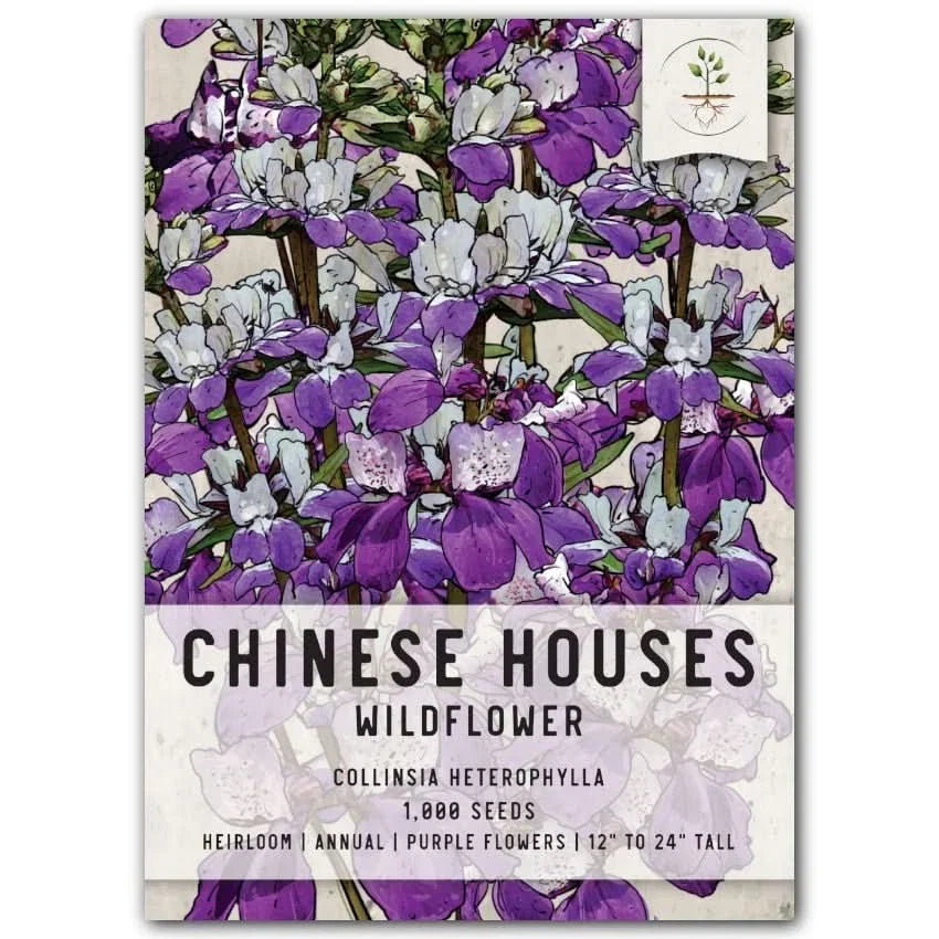 Chinese Houses Seeds for Planting, Collinsia heterophylla, Colorful Annual Wildflower Seeds, Bright Garden Flower, Pollinator Attracting Seeds