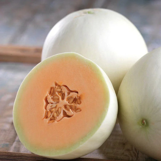 Orange Honeydew Melon Seeds – Heirloom Non-GMO Organic Cucumis melo for Juicy, Sweet Melons in Pack of 20