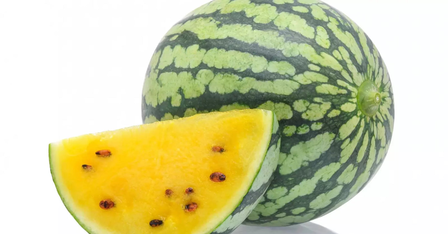 Yellow Petite Heirloom Watermelon Seeds - Citrullus lanatus, Compact Vining, Sweet & Juicy, Non-GMO Seed Packet for Home Gardens