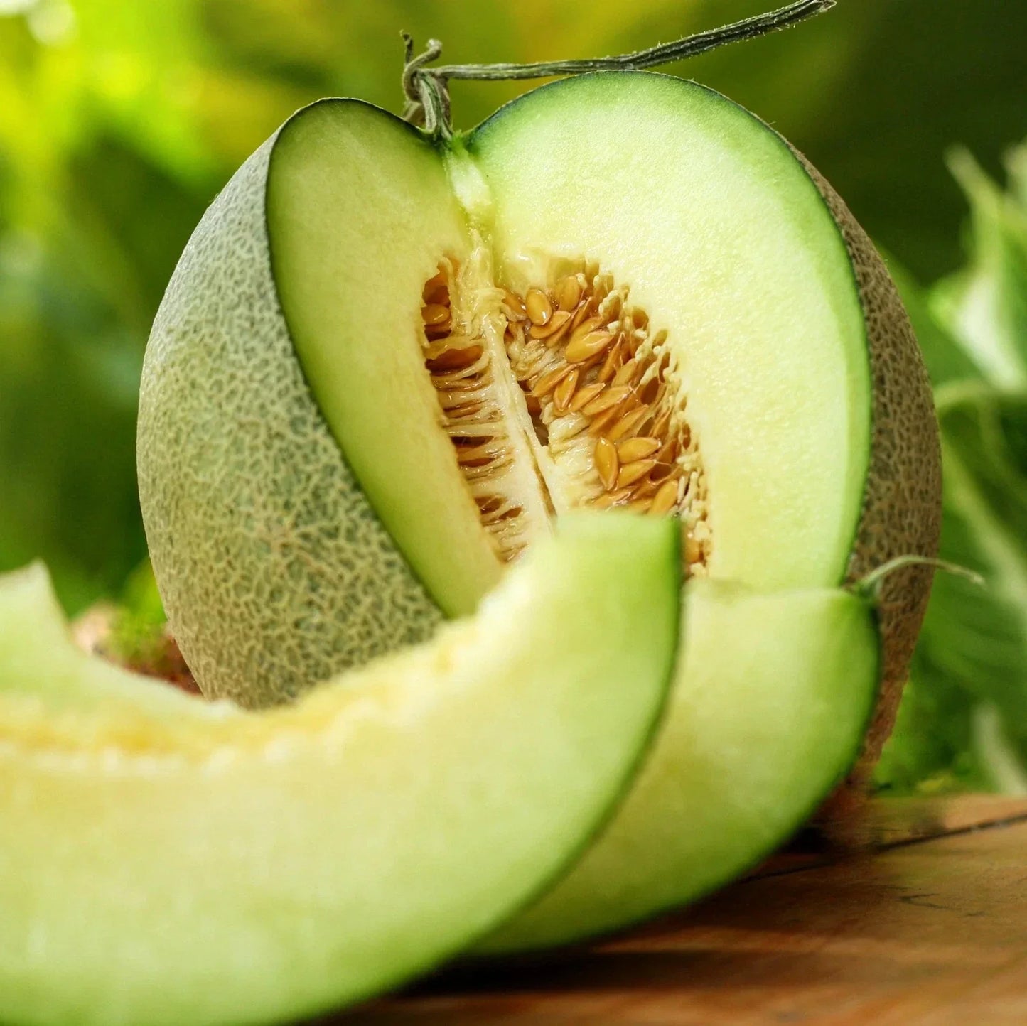 Rocky Ford Green Cantaloupe Seeds - Heirloom Cucumis melo for 2025 Planting, Juicy Green Melon Seed Packet, Non-GMO, 50+ Seeds