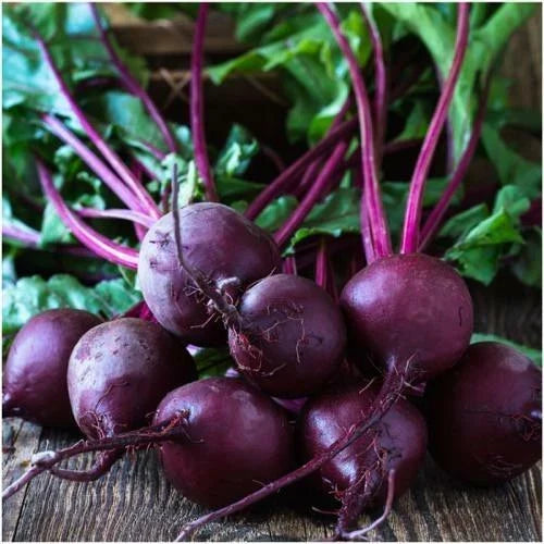 Beet Seeds 100 Ct Early Wonder Beta vulgaris Non-GMO Vegetable Garden Seeds for Home Growing