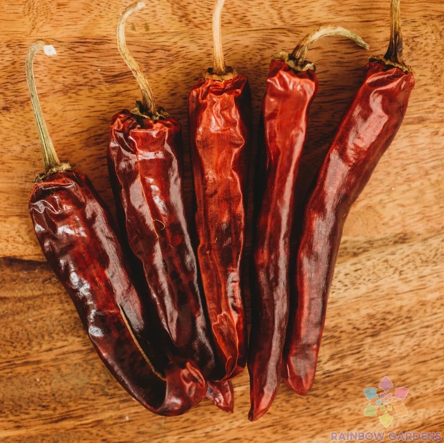 Mulato Chile Sweet Pepper Seeds Pack of 25+ | Capsicum annuum | Non-GMO, Sweet Flavor, Home Garden, Container Planting
