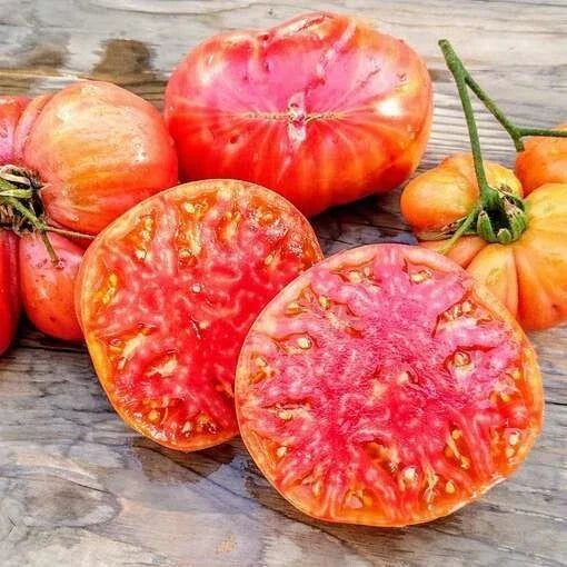 Heirloom Tomato Seeds - 30+ Organic Non-GMO - Solanum lycopersicum - Yellow-Orange, Juicy, Medium to Large