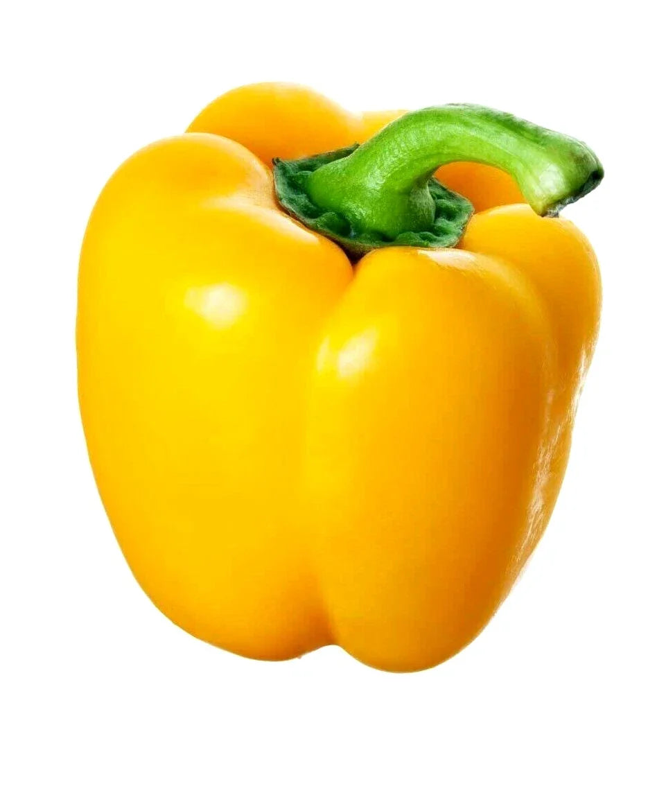 California Wonder Yellow Pepper Seeds - Heirloom Non-GMO Capsicum annuum for Spring Garden, Pack of 25