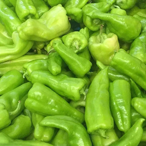 Cubanelle Pepper Seeds | Heirloom Non-GMO Capsicum annuum for Gardening, Roasting & Cooking | Seed Packet