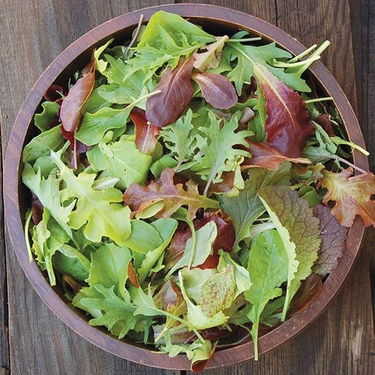 Mesclun Mix Lettuce Seeds - Non-GMO Heirloom Blend for Salad Greens - Lactuca sativa, Easy to Grow, USA Grown