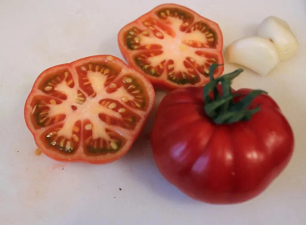 Sub Arctic Plenty Tomato Seeds - Organic Heirloom, Fast-Growing, Cooler Climate, Solanum lycopersicum, 120+ Seeds