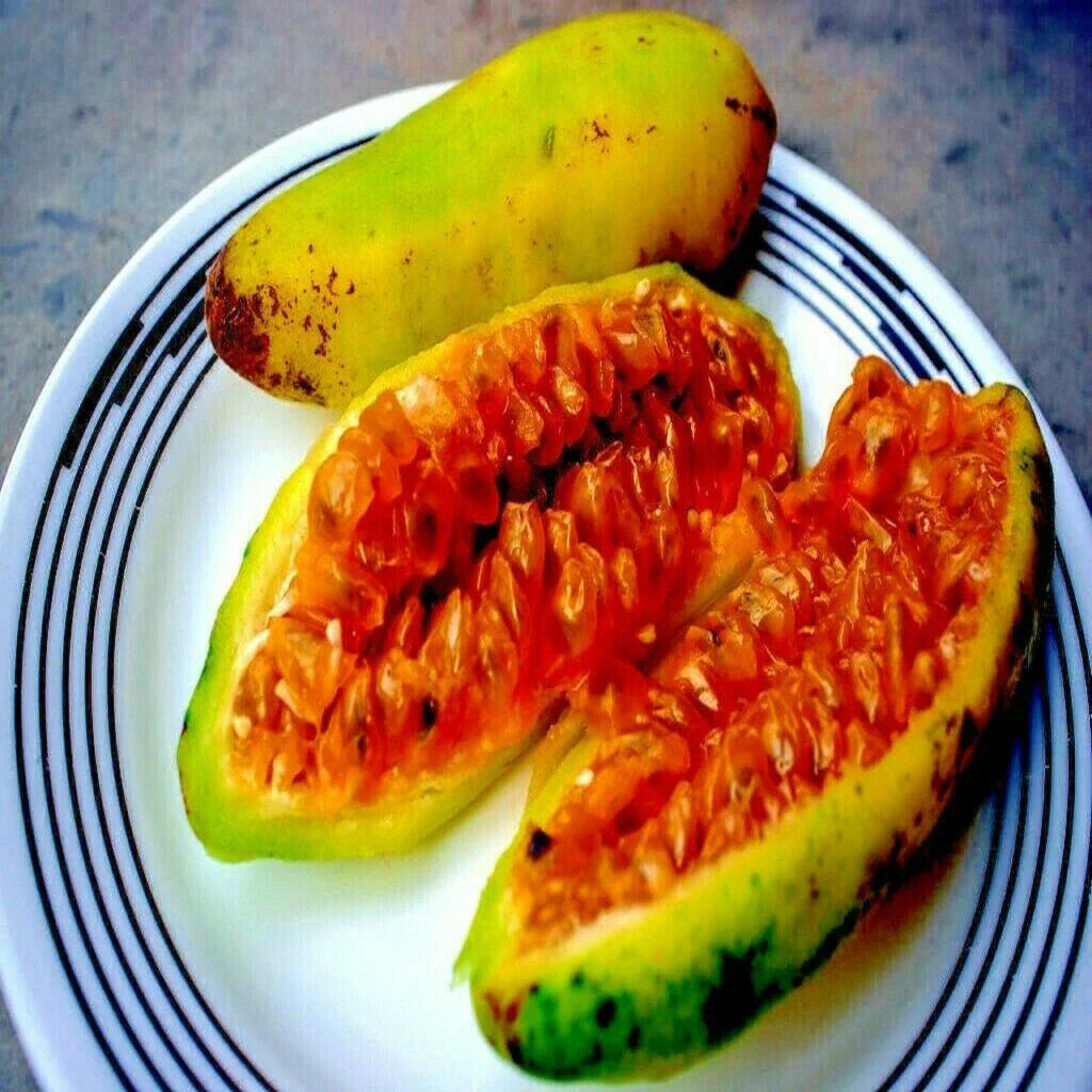Banana Passionfruit Seeds, Passiflora Mollissima, Rare Fast-Growing Vine, Tropical Edible Fruit, Garden Trellis Plant, 20 Seeds