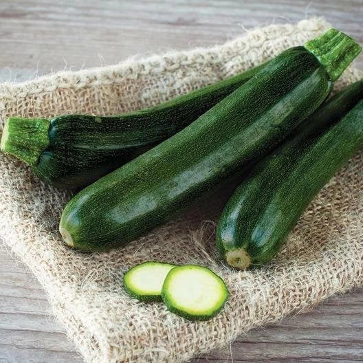 Black Beauty Zucchini Seeds – Summer Squash Cucurbita pepo, Bush Type, Dark Green, Non-GMO, Pack of 20 Seeds for Home Garden