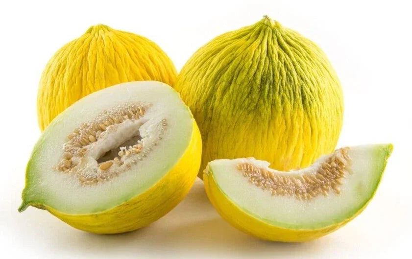 Golden Beauty Casaba Melon Seeds - 20 High-Quality Cucumis melo for Home Garden, Sweet Juicy Melons, Vining, Non-GMO