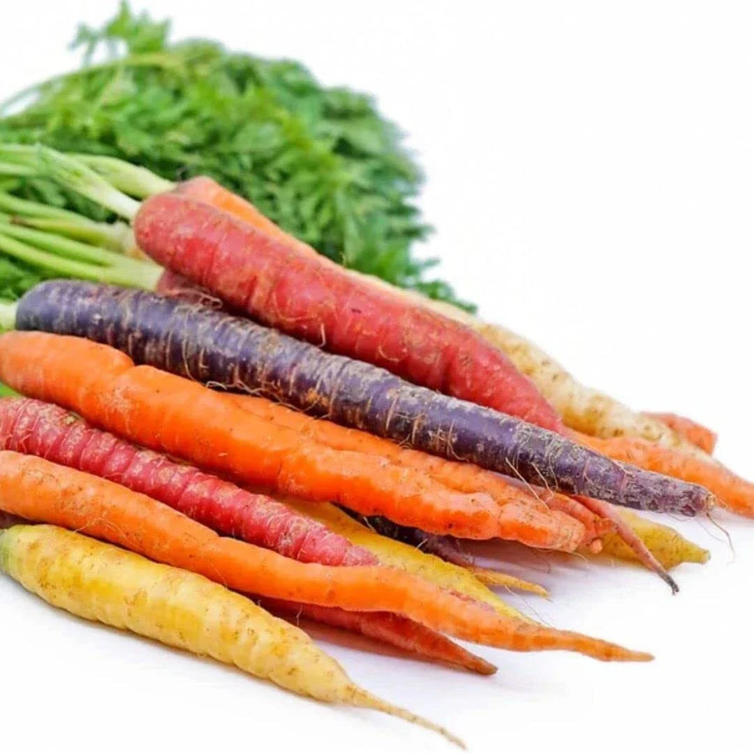 Rainbow Carrot Seeds - 750 Count, Non-GMO Heirloom Mix, Daucus carota for Colorful Vegetable Garden