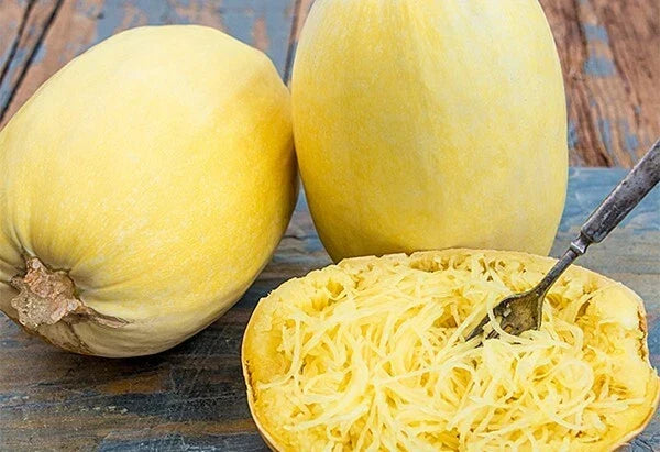 Spaghetti Squash Seeds 5 Pack Non-GMO Cucurbita pepo Vegetable Seeds for Home Garden, Bountiful Harvest