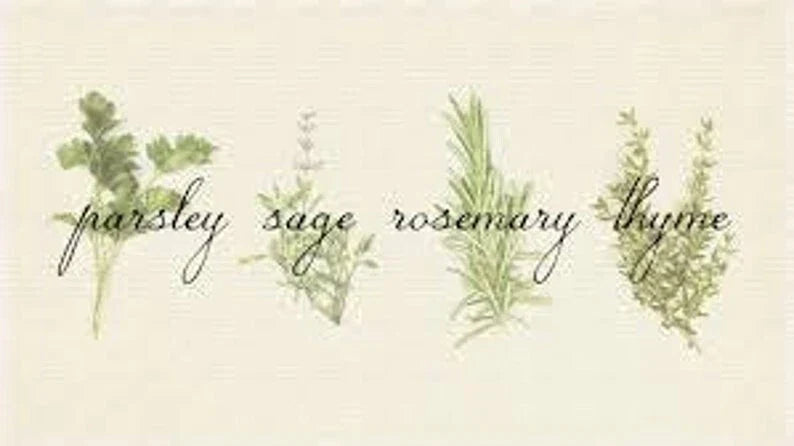 Culinary Herb Seed Set | Gift Pack | Parsley, Sage, Rosemary, Thyme | Petroselinum crispum, Salvia officinalis, Rosmarinus officinalis, Thymus vulgaris