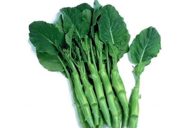 Big Stem Chinese Broccoli Seeds - 1000 Non-GMO Heirloom Brassica oleracea var. alboglabra Pack