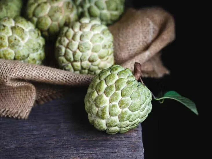 Cherimoya Seeds - Organic Annona cherimola for Sweet Fruit Garden - Pack of 5 Non-GMO Custard Apple Seeds