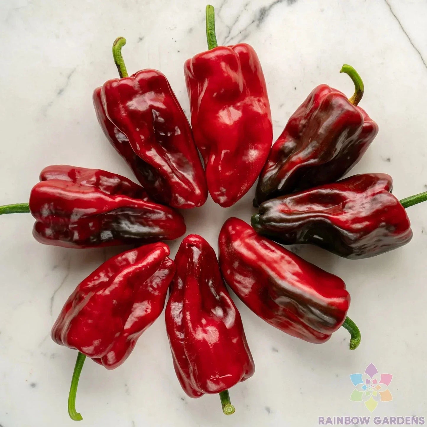 Poblano Sweet Pepper Seeds - 25+ Pack, Heirloom Capsicum annuum for Garden Planting, Salsas, and Cooking