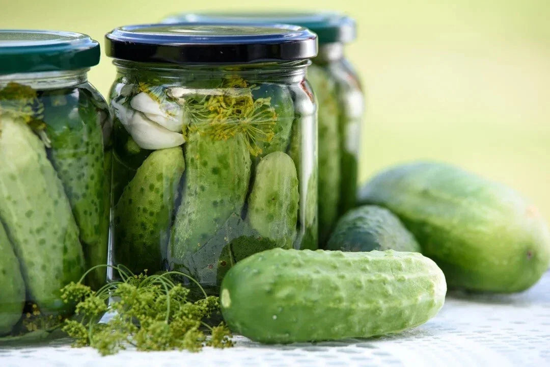National Pickling Cucumber Seeds – Heirloom Cucumis sativus for Dill Pickles, High-Yield, Garden or Container Growing, Non-GMO, 25 Seeds