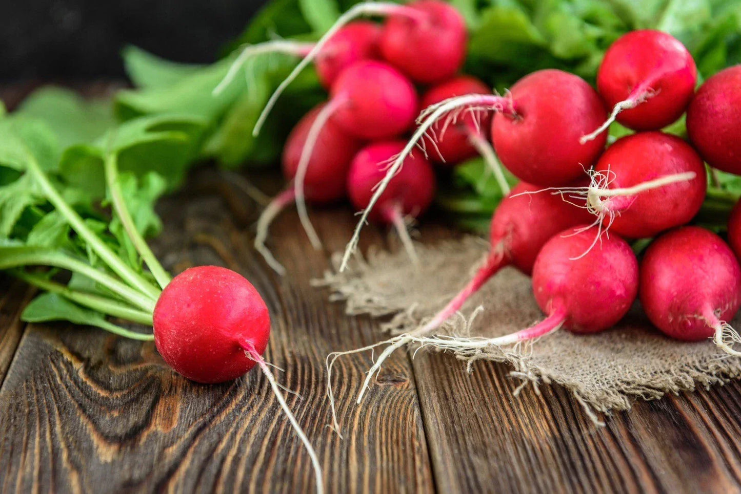 Cherry Belle Radish Seeds - Heirloom Organic Non-GMO Raphanus sativus, Pack of 200+ for Home Garden, Fast-Growing, USA Free Shipping