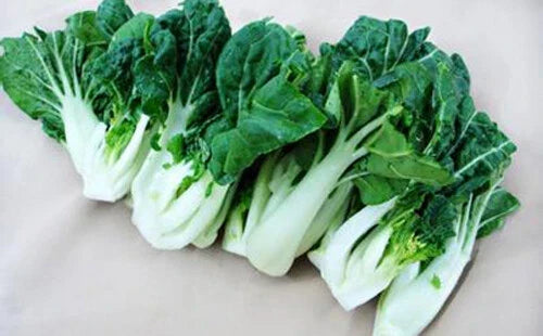 Canton Pak Choi Seeds - 200+ Non-GMO Brassica rapa subsp. chinensis Vegetable Seeds for Home Garden, Stir-Fries & Salads