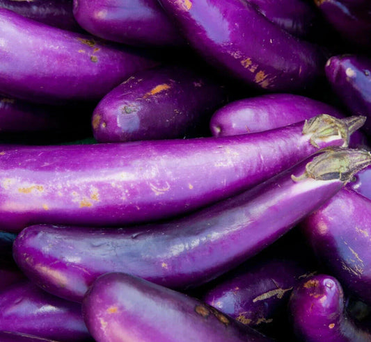 Long Purple Eggplant Seeds - Pack of 200+ Solanum Melongena Heirloom Vegetable Garden Seeds