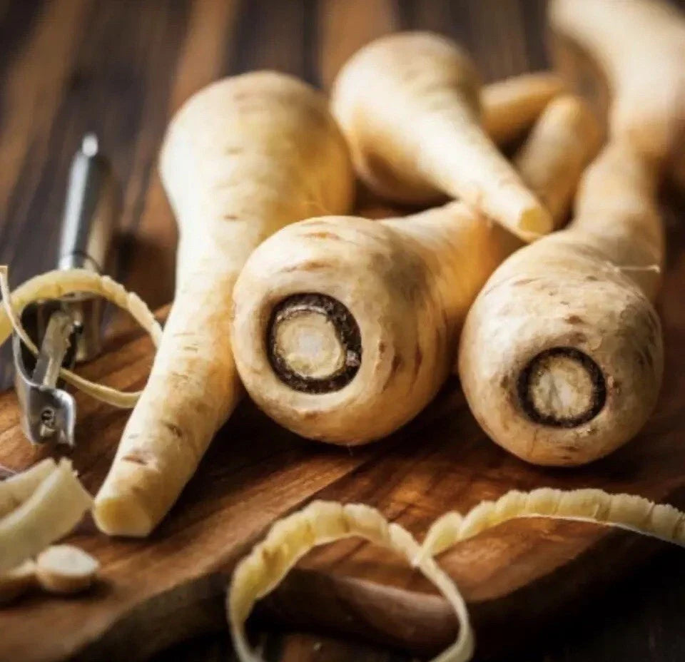 Hollow Crown Parsnip Seeds - 2000 Non-GMO Vegetable Seeds - Pastinaca sativa - Ideal for Home Gardening and Winter Harvesting