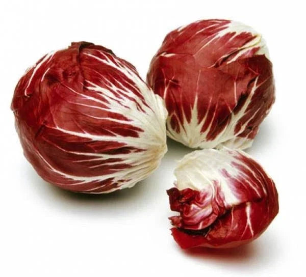 Radicchio Seeds Palla Rosa Non-GMO for Home Gardening, Vitamin-Packed, Salad, Cichorium intybus, 100 Seeds