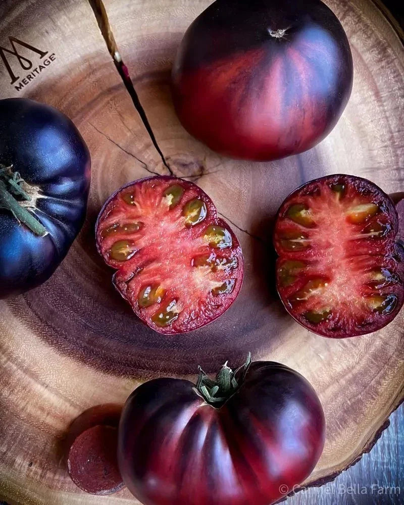 Black Beauty Tomato Seeds - Organic Heirloom Solanum lycopersicum - Non-GMO, Juicy, Dark, Rich Flavor, High Yield, Perfect for Home Gardens