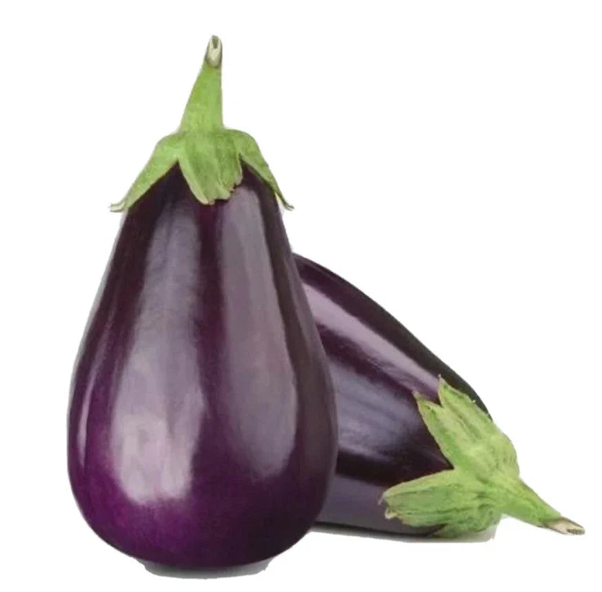 Black Beauty Eggplant Seeds - 200+ Non-GMO Open Pollinated Heirloom Vegetable Seeds Solanum melongena
