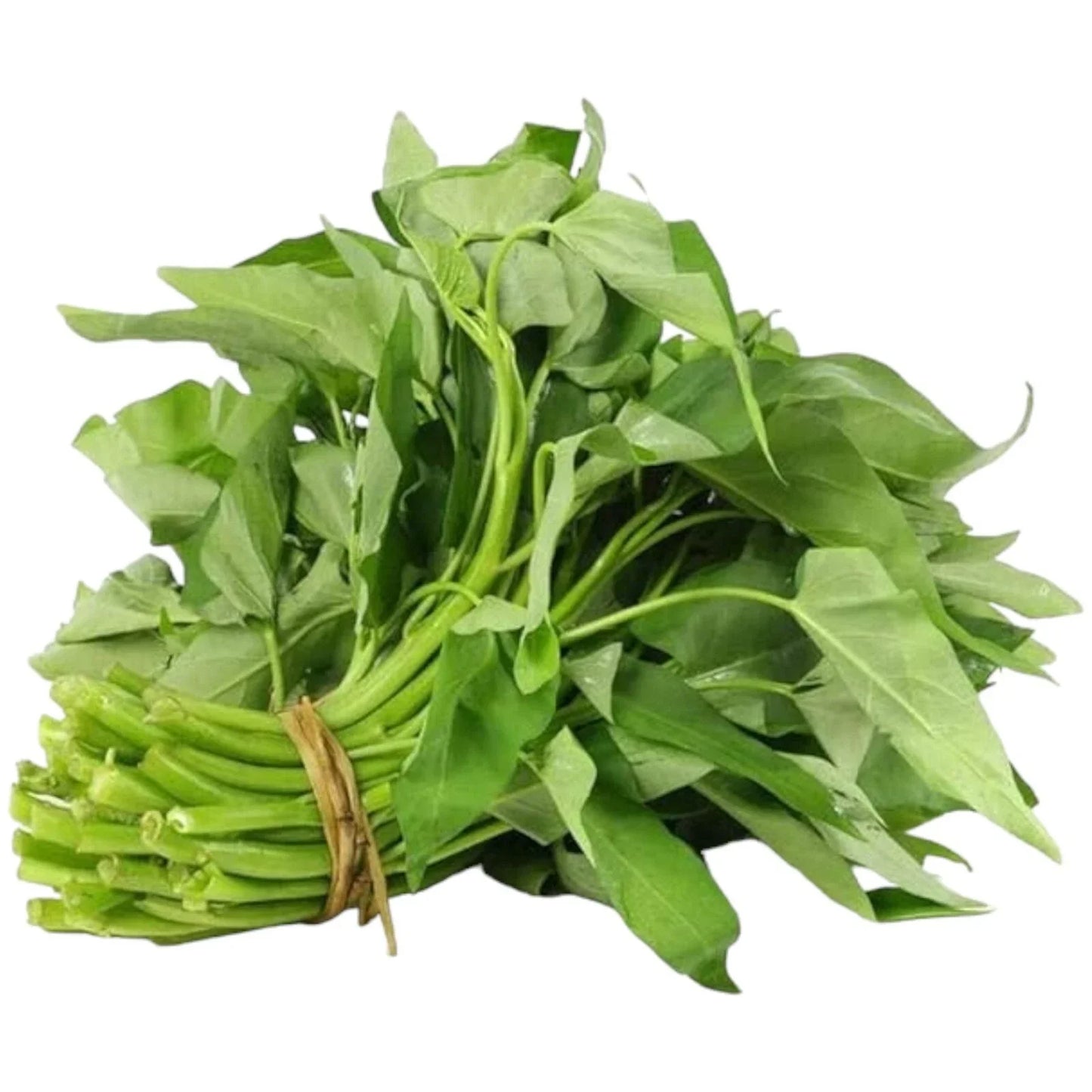 Water Spinach Seeds 120pcs Organic Non-GMO Heirloom Ipomoea aquatica for Home Gardening