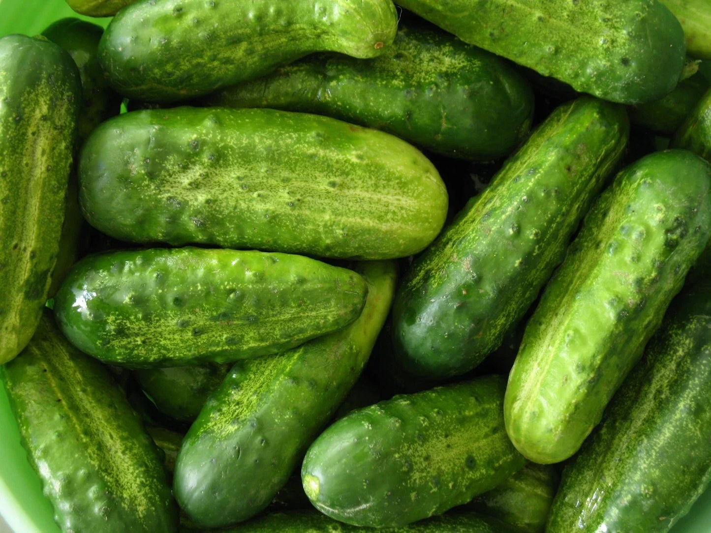 Homemade Pickles Cucumber Seeds, NON-GMO Heirloom, Cucumis sativus, for Pickling, Full Sun, High Yield, Multiple Sizes
