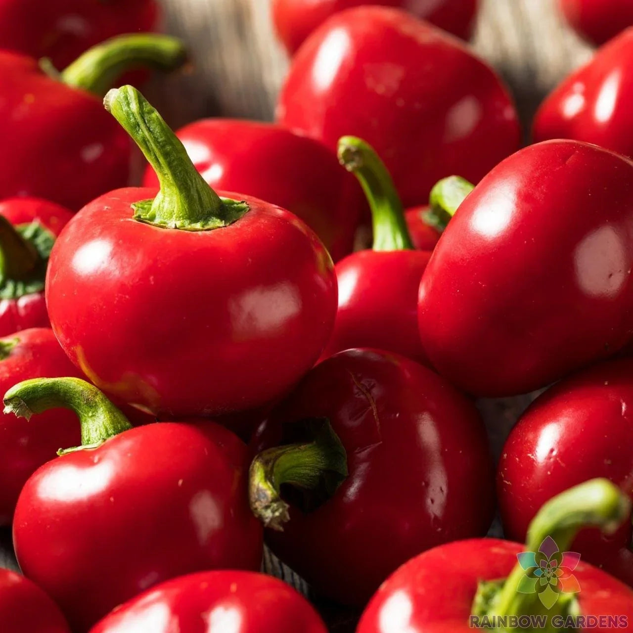 Red Cherry Hot Pepper Seeds - 25+ Non-GMO Capsicum annuum for Garden, Container, Culinary Use, USA Grown